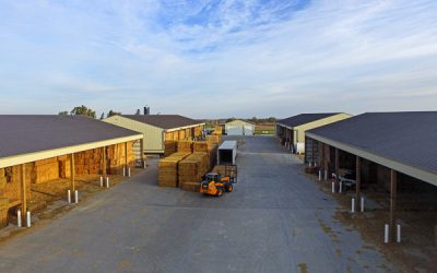 Storage Sheds & Mini Storage from Barn Bosses